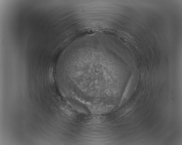 X0000073861060200608241103