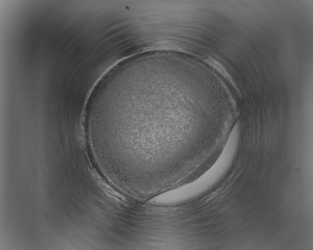 X0000073861068200608241102