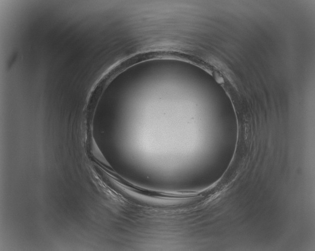 X0000073861069200608241102