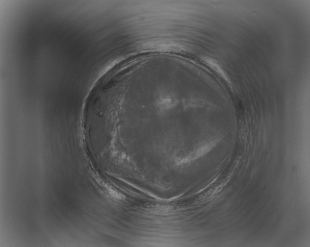 X0000073861071200608241102