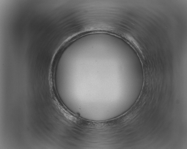 X0000073861072200608241102