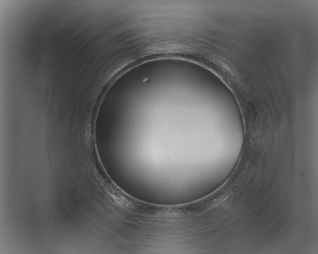 X0000073861073200608241102