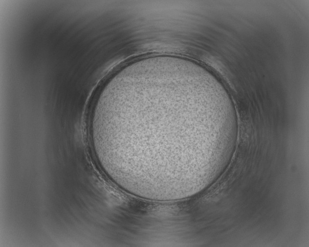 X0000073861074200608241102