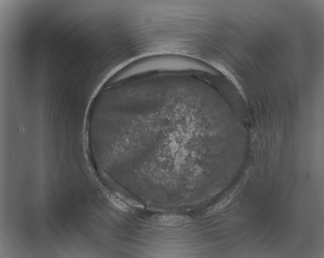 X0000073861077200608241102