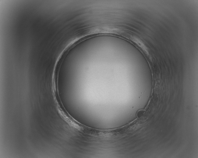 X0000073861080200608241102