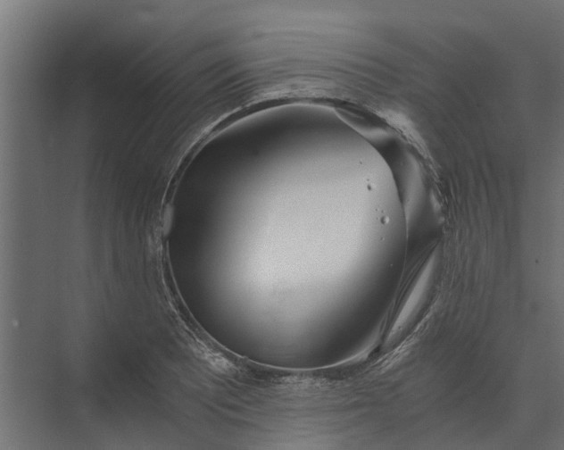 X0000073861081200608241102