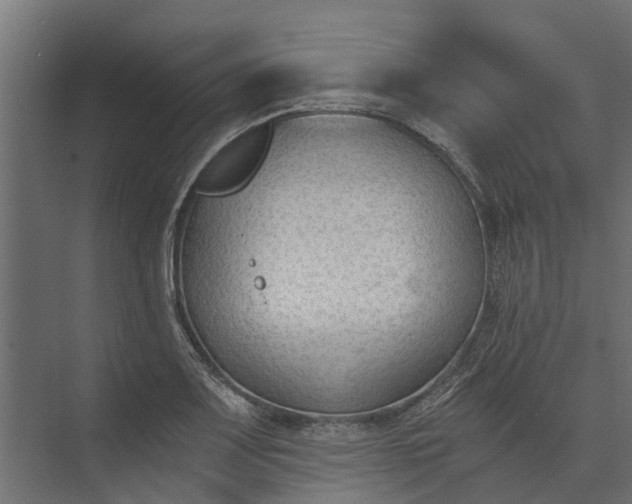 X0000073861083200608241102