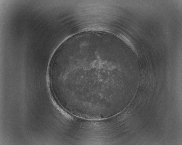 X0000073861084200608241102