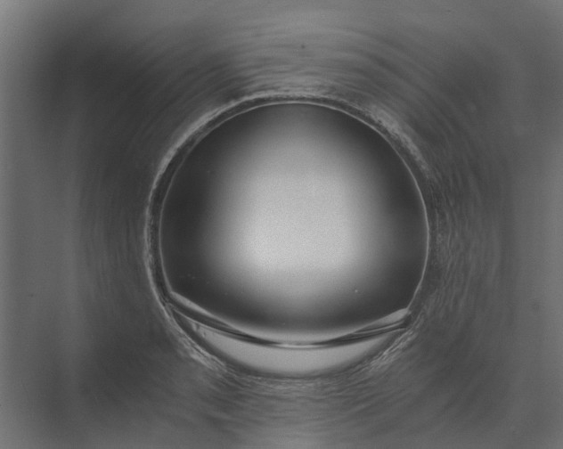 X0000073861085200608241102