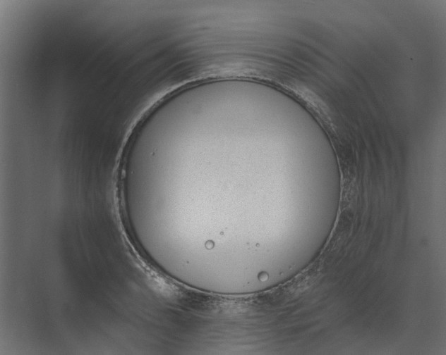 X0000073861086200608241102