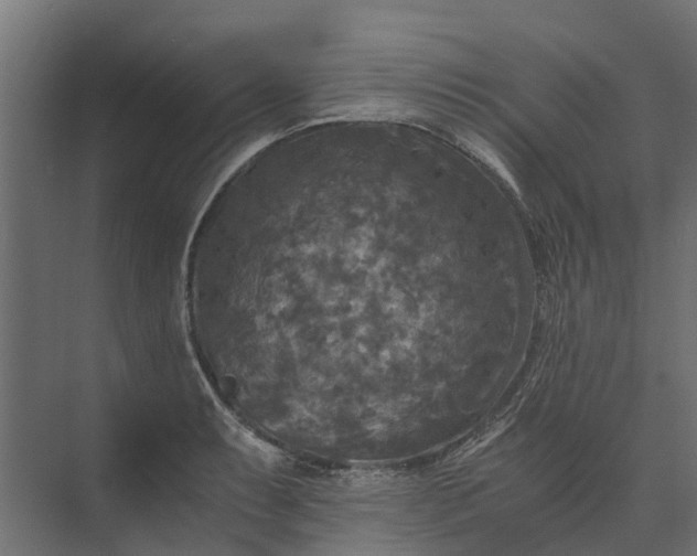 X0000073861087200608241102