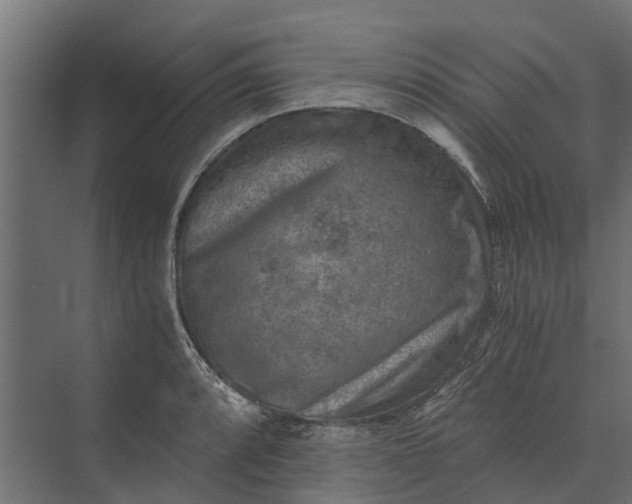 X0000073861088200608241102