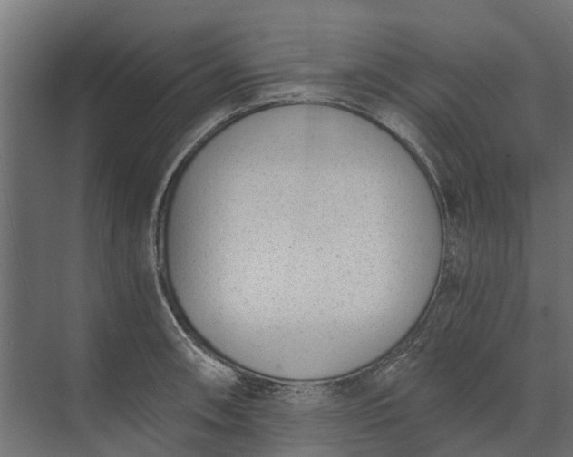 X0000073861090200608241102