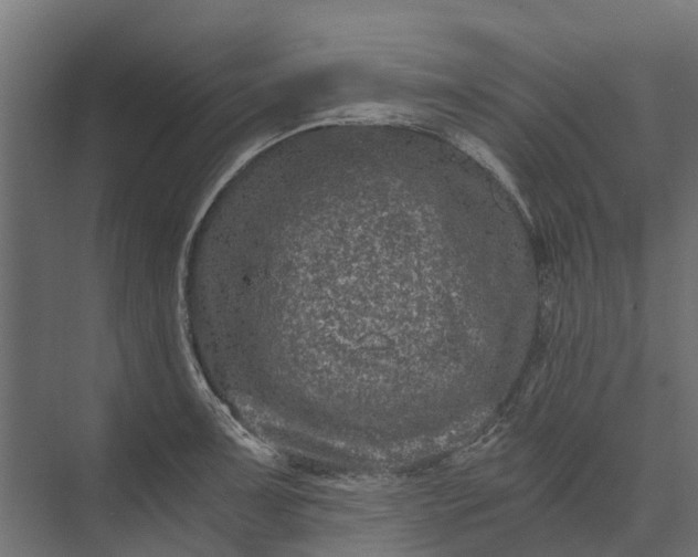 X0000073861091200608241102