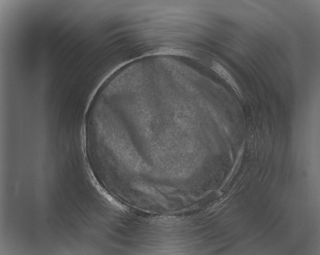 X0000073861092200608241102