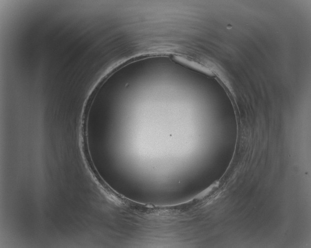 X0000073861093200608241102