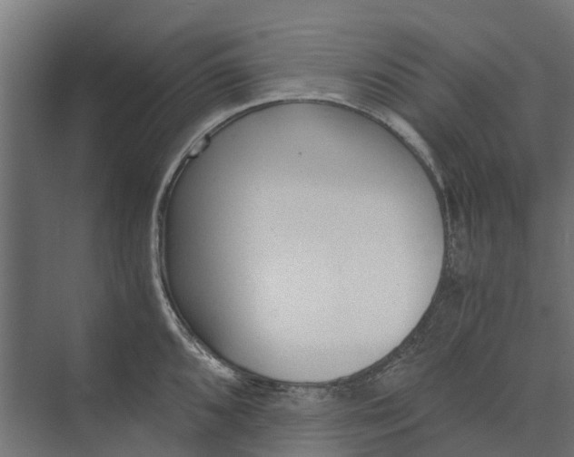 X0000073861096200608241102