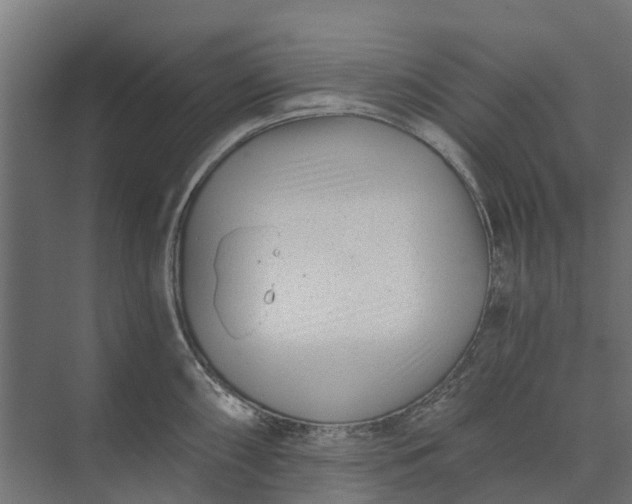 X0000073861098200608241102