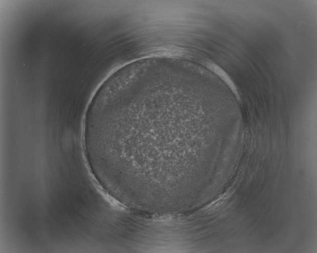 X0000073861099200608241102