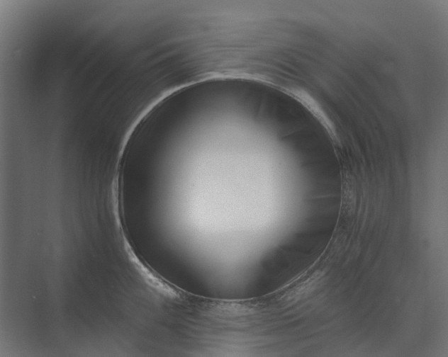 X0000073861100200608241102