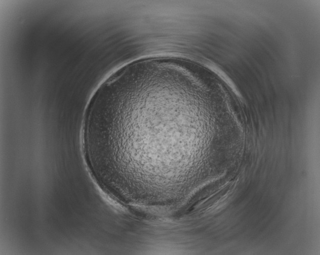 X0000073861101200608241102