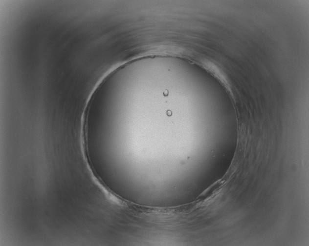 X0000073861103200608241102