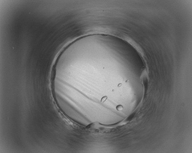 X0000073861104200608241102