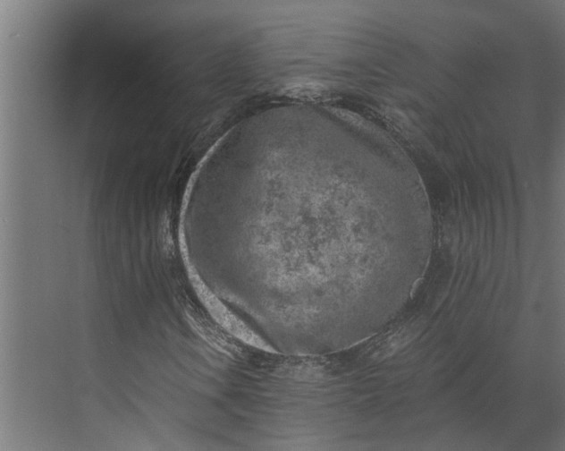 X0000073861106200608241101