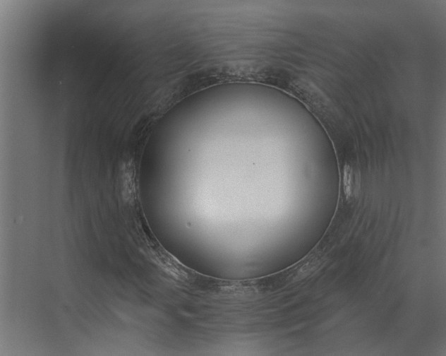 X0000073861107200608241101