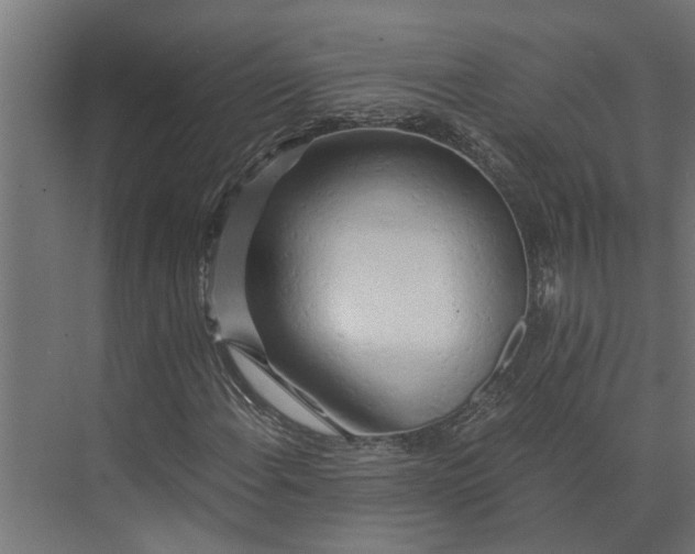 X0000073861108200608241101