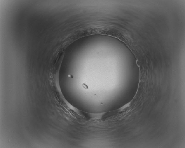 X0000073861109200608241101