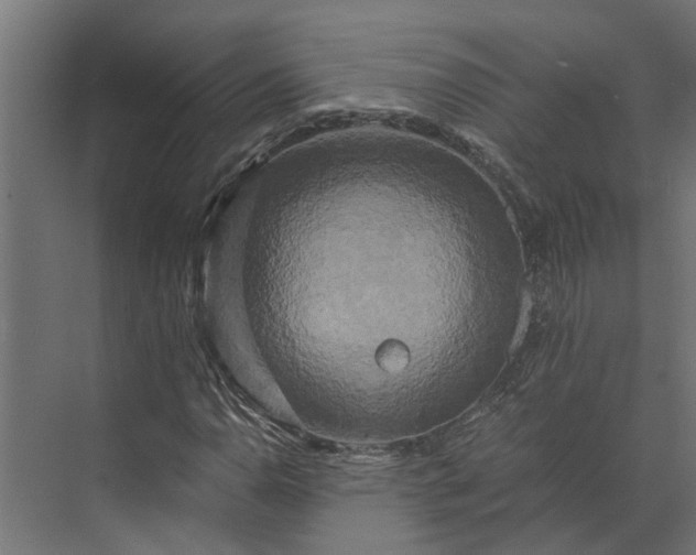 X0000073861110200608241101