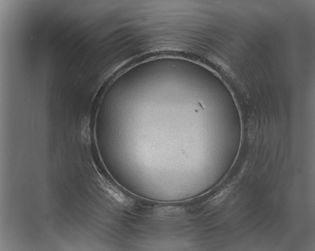 X0000073861113200608241101