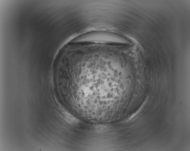 X0000073861114200608241101