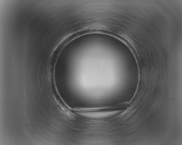 X0000073861115200608241101