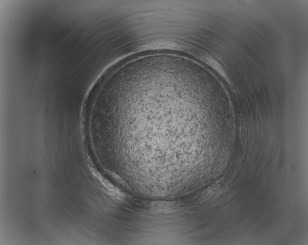 X0000073861116200608241101