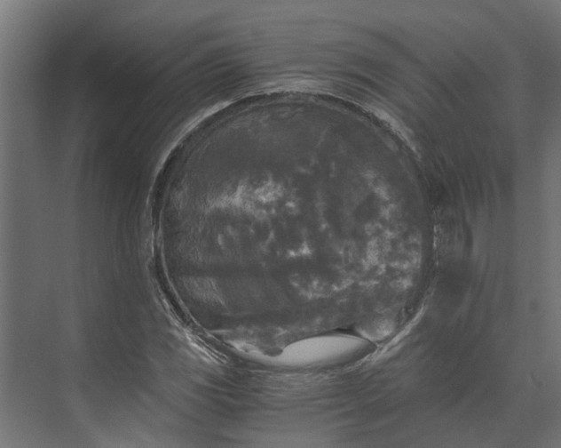 X0000073861117200608241101