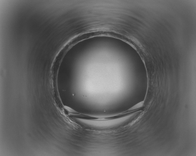 X0000073861118200608241101