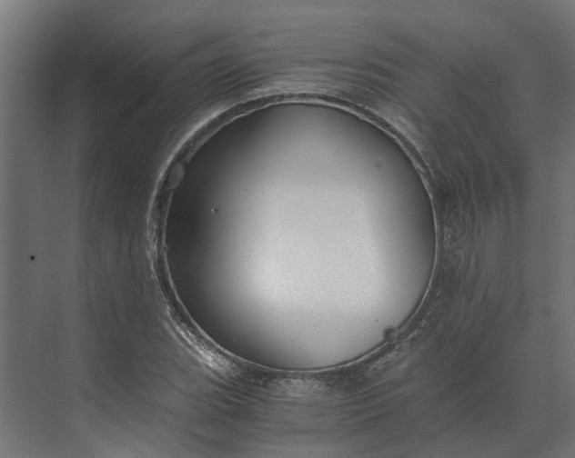 X0000073861119200608241101