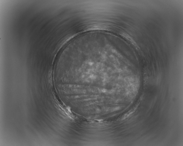 X0000073861121200608241101