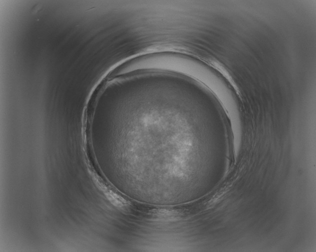 X0000073861124200608241101