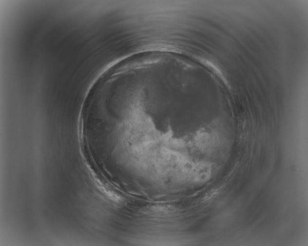 X0000073861125200608241101