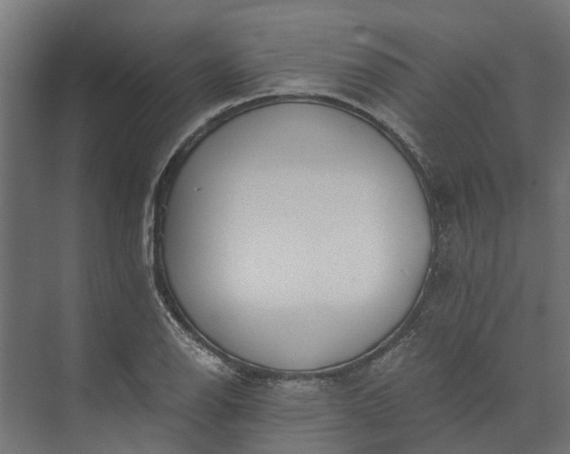 X0000073861126200608241101