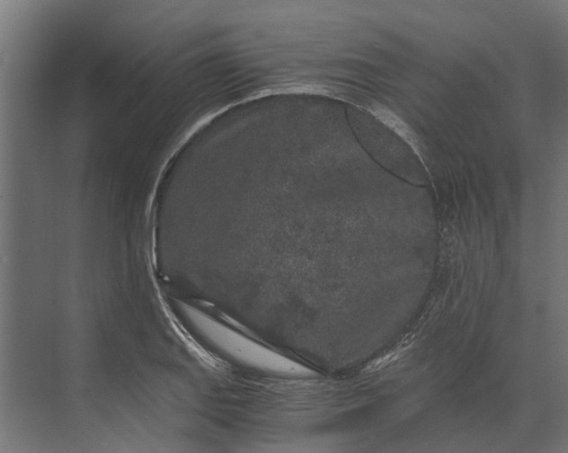 X0000073861127200608241101