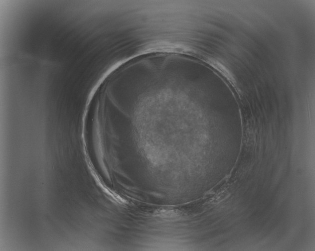 X0000073861128200608241101