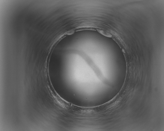 X0000073861129200608241101