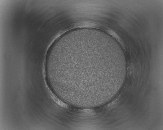 X0000073861130200608241101