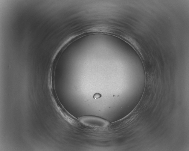 X0000073861131200608241101