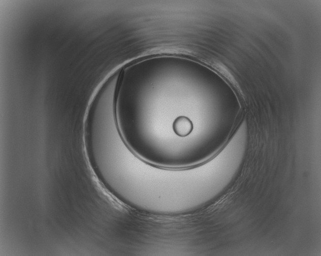 X0000073861132200608241101