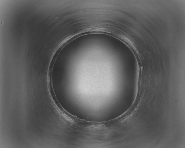 X0000073861133200608241102